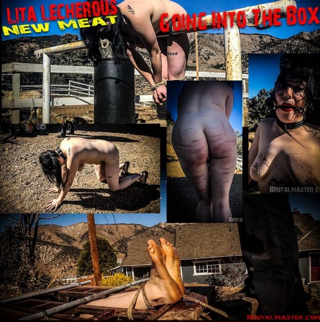 New Meat – Going Into The Box (2019 | FullHD) (980 MB)