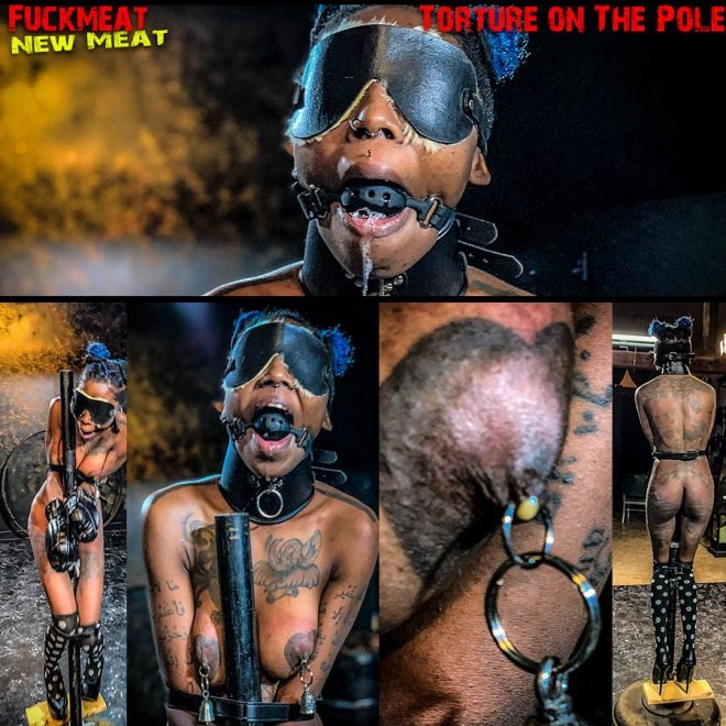 Fuckmeat Torture On The Pole (2020 | FullHD) (1.28 GB)