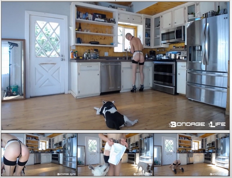 Rachel Greyhound - Domestic Service (2020 | HD) (268 MB)