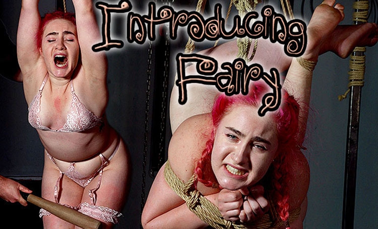 Christian Red - Introducing Fairy (2020 | FullHD) (3.20 GB)