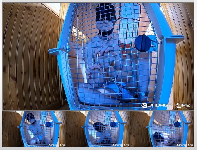 Rachel Greyhound - In The Crate (2020 | HD) (536 MB)