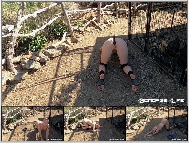 Rachel Greyhound - Lunch for Puppy (Outdoor Edition) (2020 | HD) (771 MB)