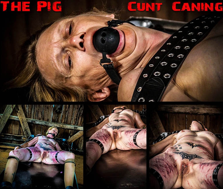 The Pig – Cunt Caning (2020 | FullHD) (1.78 GB)