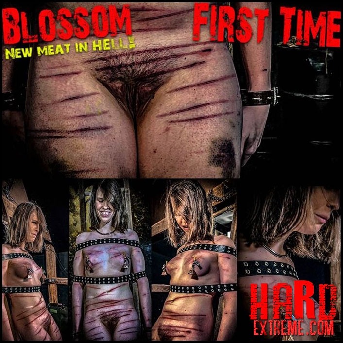 NEW MEAT Blossom First Time (Chapter One) (2021 | FullHD) (1.41 GB)